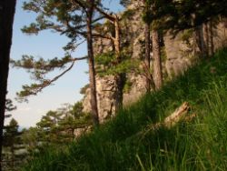 2013-07-13_Regina-F-Rau_Sonnenspitze3 (086).JPG